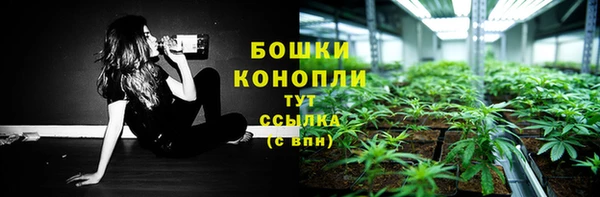 шишки Саяногорск