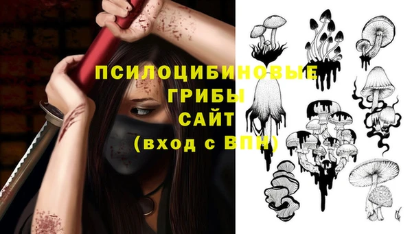 тгк Армянск
