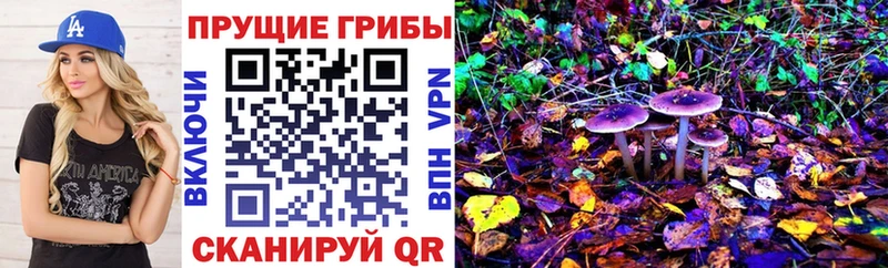 где продают   Порхов  Псилоцибиновые грибы Magic Shrooms 